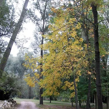 Kastélyszálló Mátészalka Panzió