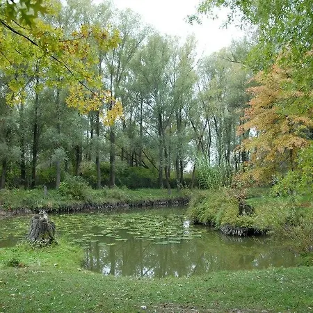 Kastélyszálló Mátészalka Panzió *