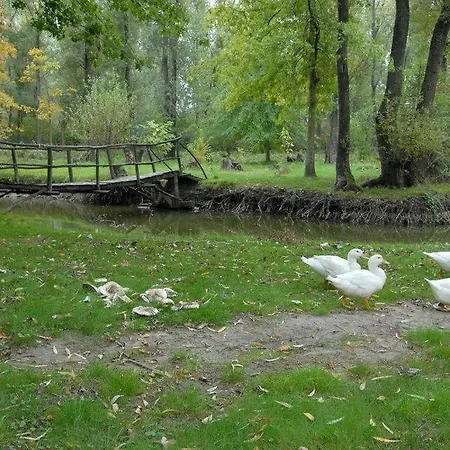 Kastelyszallo Bed & Breakfast *